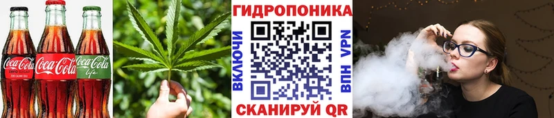 купить наркоту  Ачхой-Мартан  Печенье с ТГК марихуана 