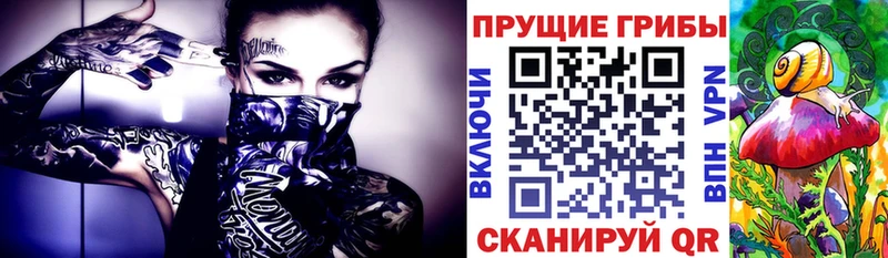 Галлюциногенные грибы Magic Shrooms  ссылка на мегу как зайти  Ачхой-Мартан  как найти закладки 